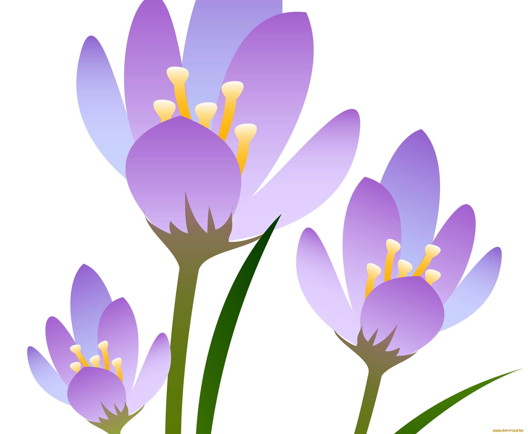 ,  , flowers, , 
